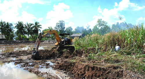 Nông dân Cà Mau đốt bỏ mía vì nhà máy ngừng mua